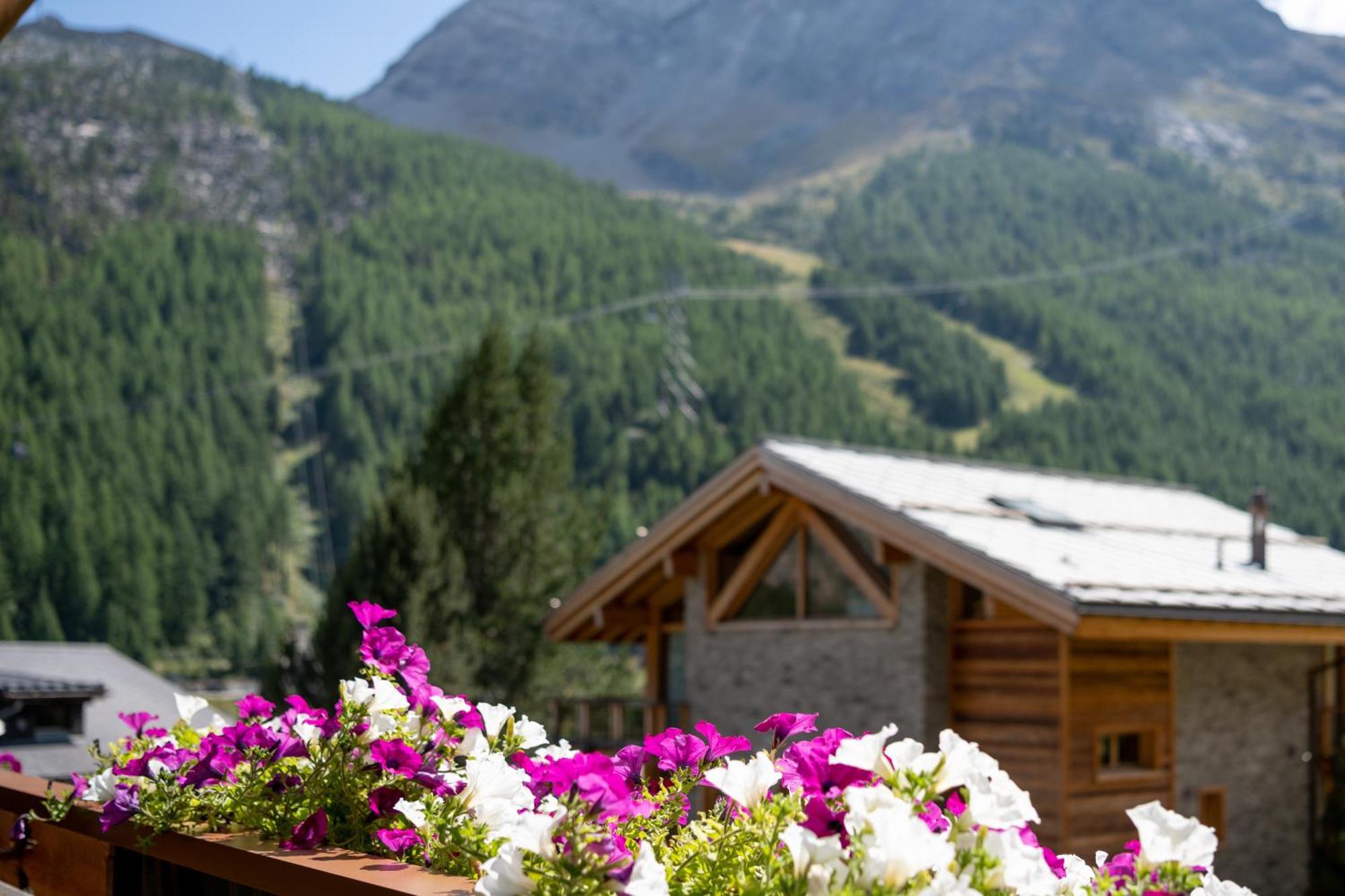 Haus Avalanche Daire Saas Fee Oda fotoğraf